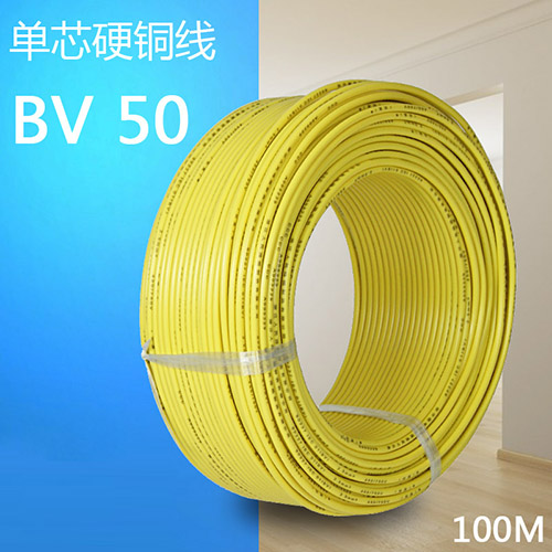BV50